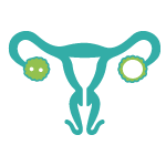 បញ្ហាសុខភាពផ្លូវភេទ Reproductive-health