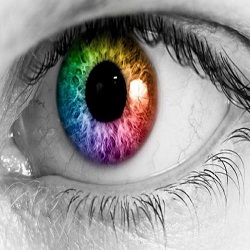 ពិការភ្នែកពណ៌ Color Blindness