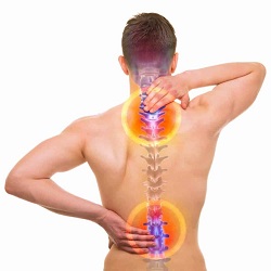 ជំងឺដាច់សរសៃឈាមខួរក្បាល Spinal Stenosis