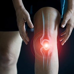 ឈឺសន្លាក់ជង្គង់ Knee Joint Pain